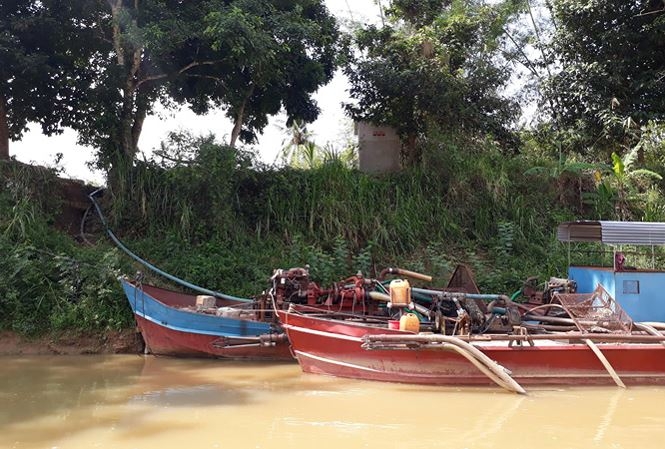 dong nai bai cat lau trong vuon bi thu xa