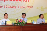 ba phan thi my thanh duoc dieu dong den vi tri moi sau khi bi ky luat