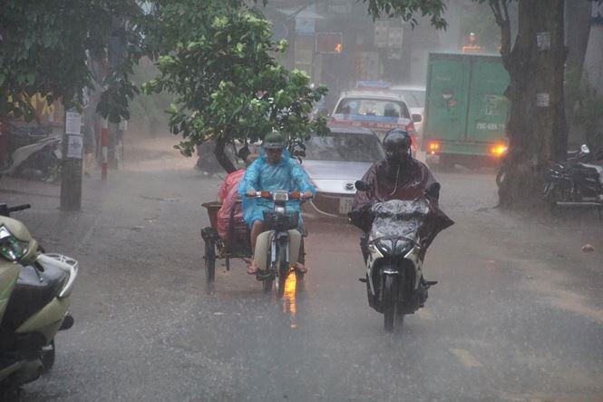 con mua giai nhiet gay ngap sau o mot so tuyen pho cua ha noi