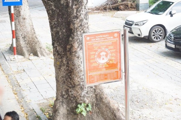 khach tham quan doi nang ne canh cay khi di xe buyt 2 tang mui tran o ha noi