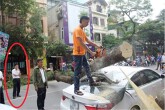 Vụ xe Lexus bị cây đè bẹp: Giám đốc Cty trông xe nói gì?