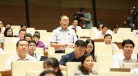 viet nam tut mot bac ve moi truong kinh doanh