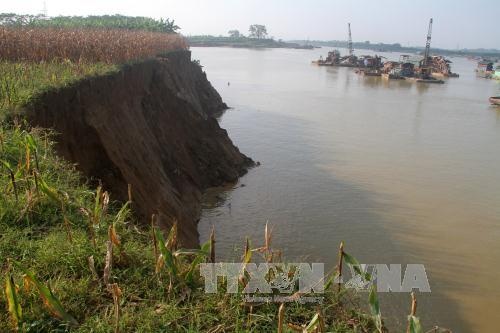 tinh trang khai thac cat khong phep o phu tho ngang nhien hoat dong du da co chi dao cua pho thu tuong