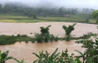 du bao thoi tiet hom nay 266 nuoc van lu tiep tuc len