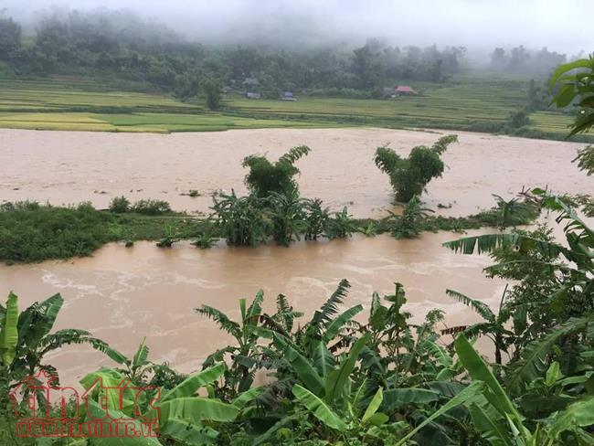 du bao thoi tiet hom nay 256 bac bo co mua dong manh de phong to loc mua da