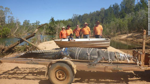 ca sau khong lo 600 kg da bi bat