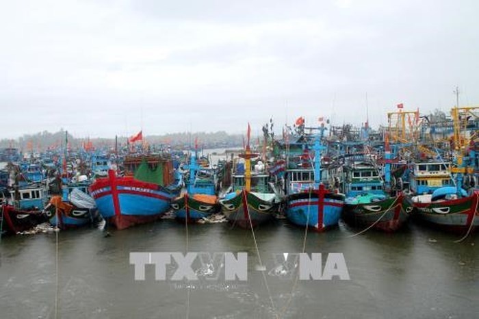 vung ap thap tren khu vuc bac bien dong cac tinh tu quang ninh den binh dinh trien khai cac bien phap phong chanh