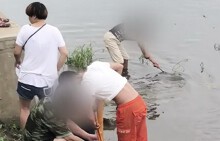 Phóng sinh cá ở Trung Quốc: Người thả, bên vớt