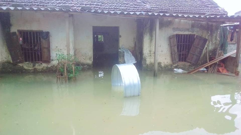 nghe an nhieu khu dan cu ngap lut sau bao so 3