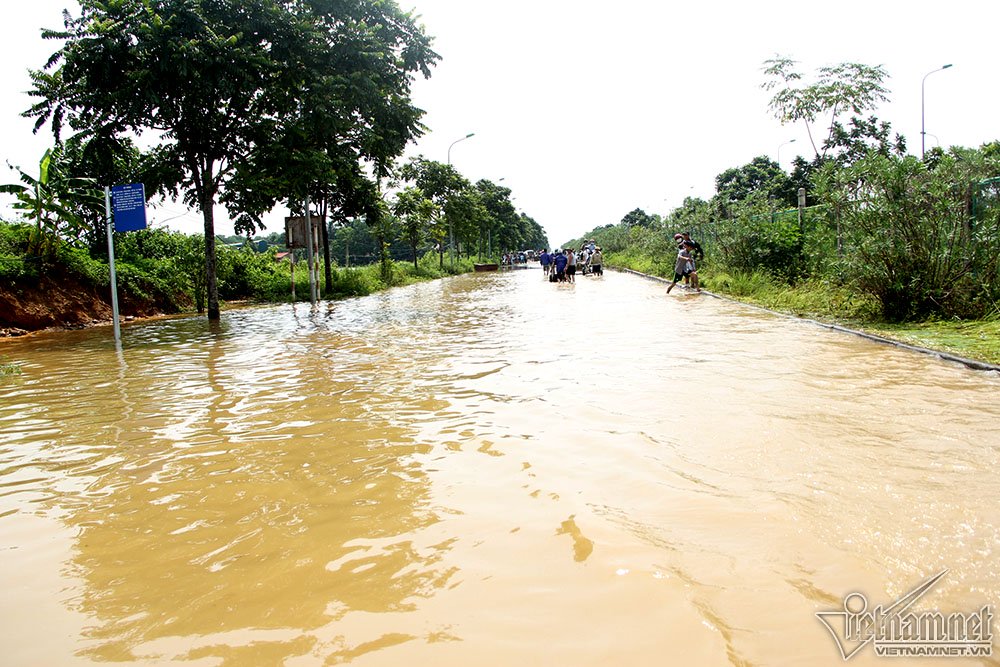 Dịch vụ lạ trên đại lộ hiện đại nhất Việt Nam, 'hốt' tiền triệu mỗi ngày dich vu la tren dai lo hien dai nhat viet nam hot tien trieu moi ngay