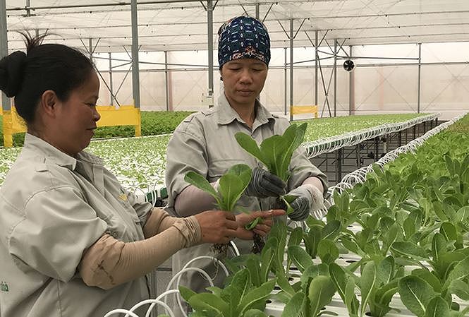 cac quy dinh chinh sach co hieu luc tu thang 82018