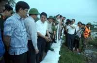 neu khong co mua ngap chuong my la noi xem choi ly tuong the nao