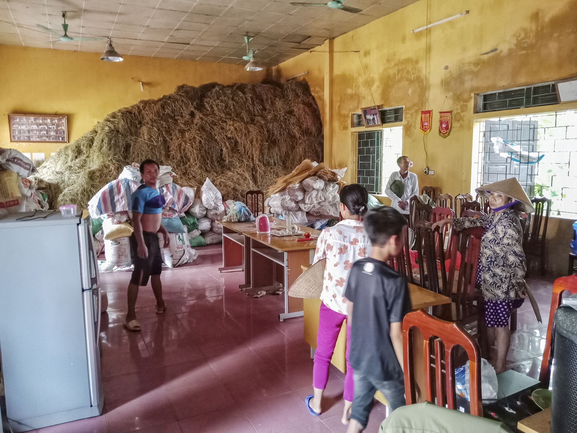 emagazine ha noi hoa binh trong con lu lon