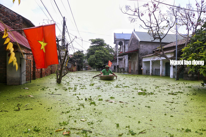 emagazine ha noi hoa binh trong con lu lon