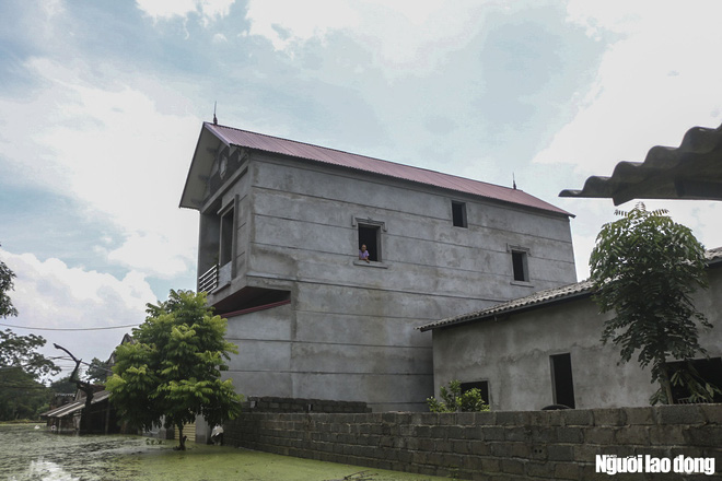 emagazine ha noi hoa binh trong con lu lon