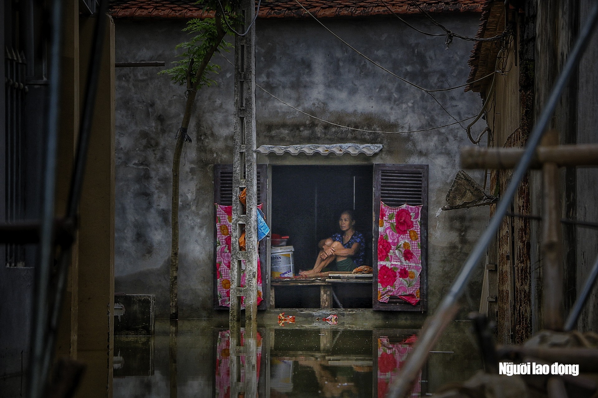 emagazine ha noi hoa binh trong con lu lon