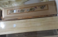 bi thuc hien cai chet nhan dao cho hai benh nhan nho tuoi nhat the gioi