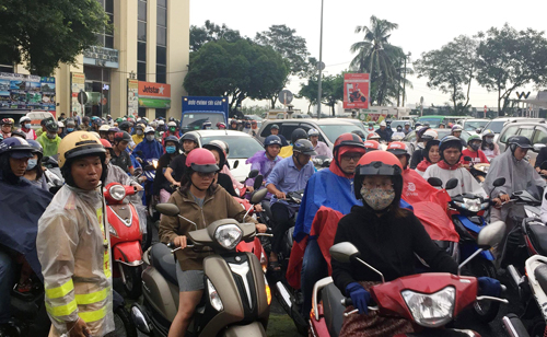 cay xanh bat goc de doi nam nu o trung tam sai gon