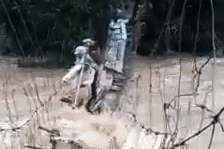 thuy dien tri an xa tran dieu tiet ho chua