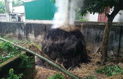 Nghệ An: Người dân hoang mang khi 'làng cháy' lại tiếp tục cháy