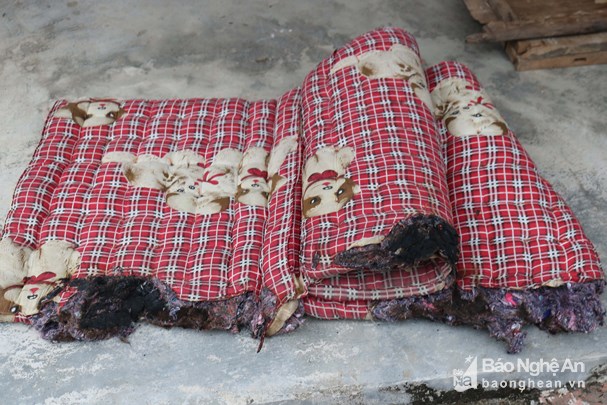 nghe an nguoi dan hoang mang khi lang chay lai tiep tuc chay