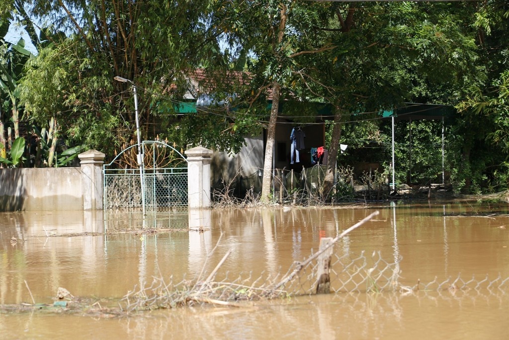 dan vung lu nghe an lo lang xuat hien dich benh khi tren nang nhu do lua duoi nuoc lu ngap nha