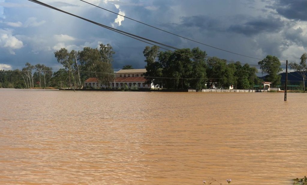 dan vung lu nghe an lo lang xuat hien dich benh khi tren nang nhu do lua duoi nuoc lu ngap nha