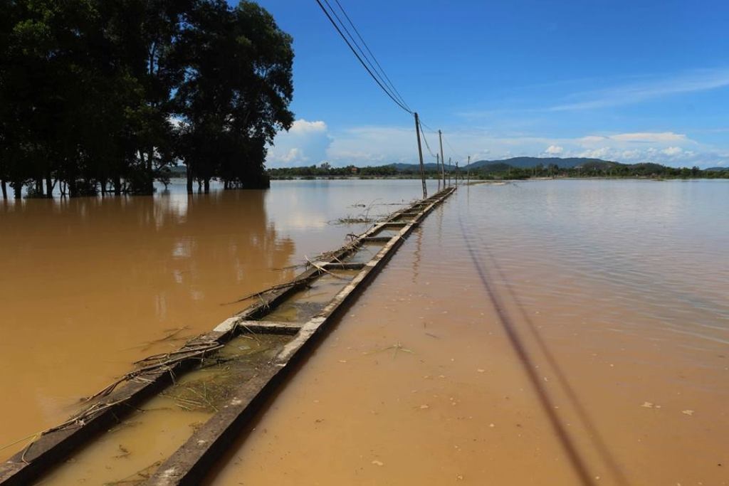 dan vung lu nghe an lo lang xuat hien dich benh khi tren nang nhu do lua duoi nuoc lu ngap nha