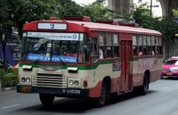 nguoi dan ong nghi ngao da khoa than leo noc nha