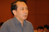 phai cap lai so do dinh thu vua meo
