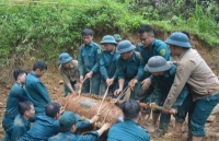 ha noi xe chet may tren duong ray thieu nu 17 tuoi bi tau tong tu vong