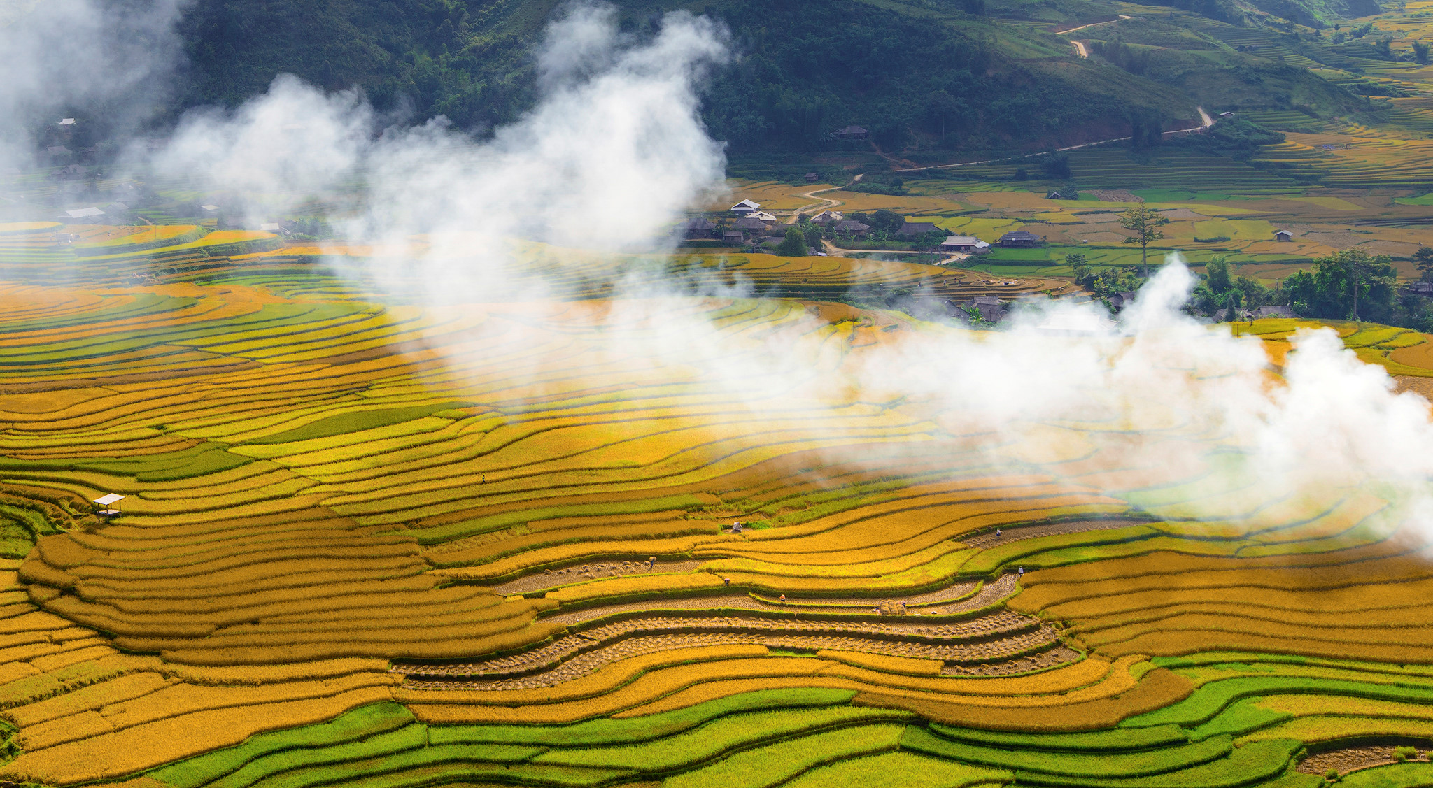 sac thu ruc ro trong mua vang mu cang chai