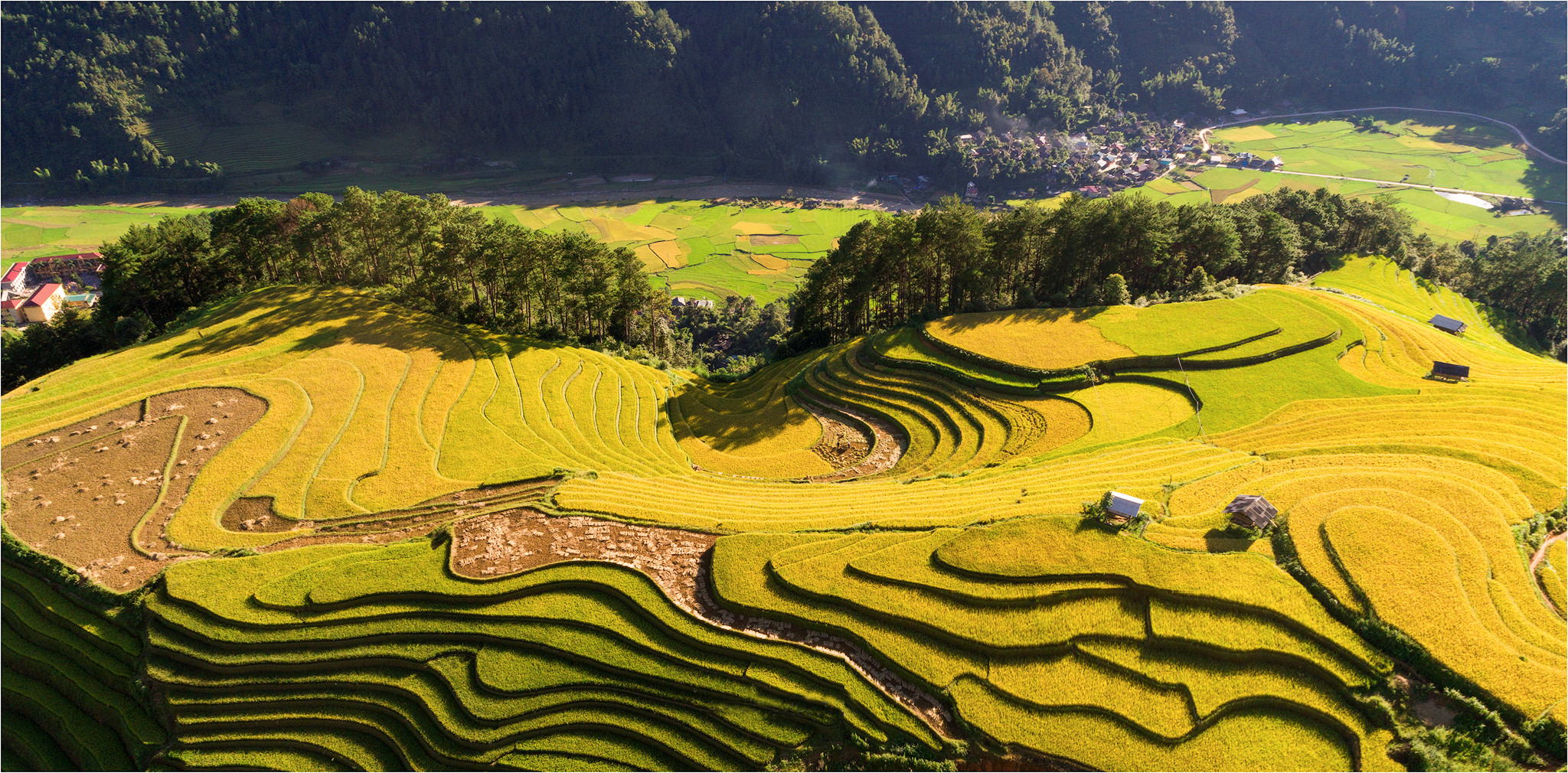 sac thu ruc ro trong mua vang mu cang chai