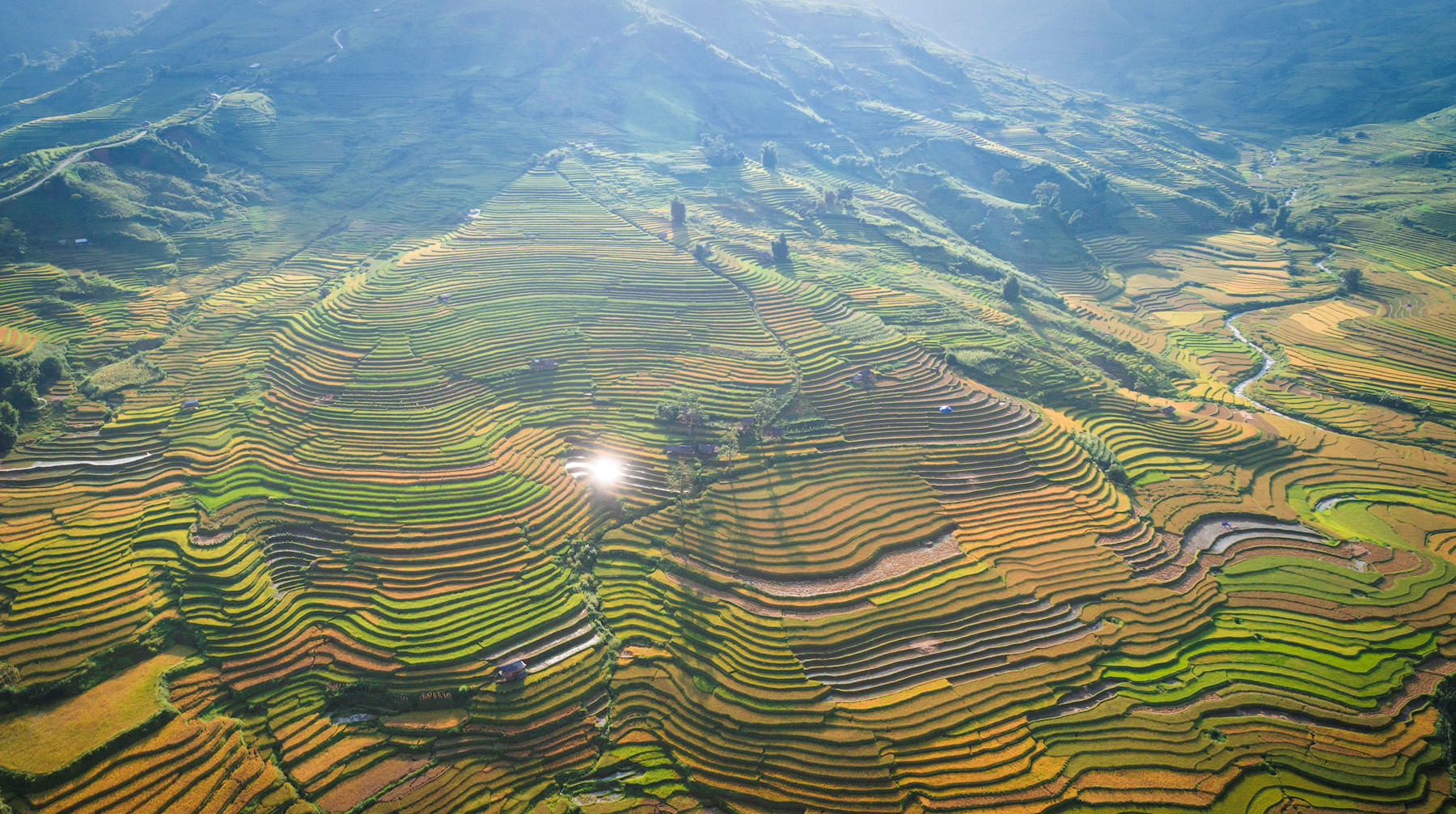 sac thu ruc ro trong mua vang mu cang chai