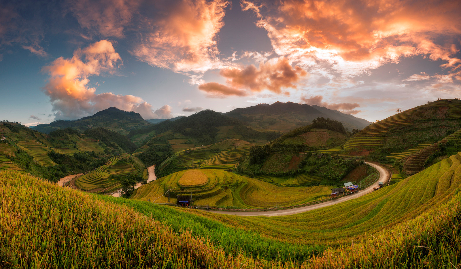 sac thu ruc ro trong mua vang mu cang chai