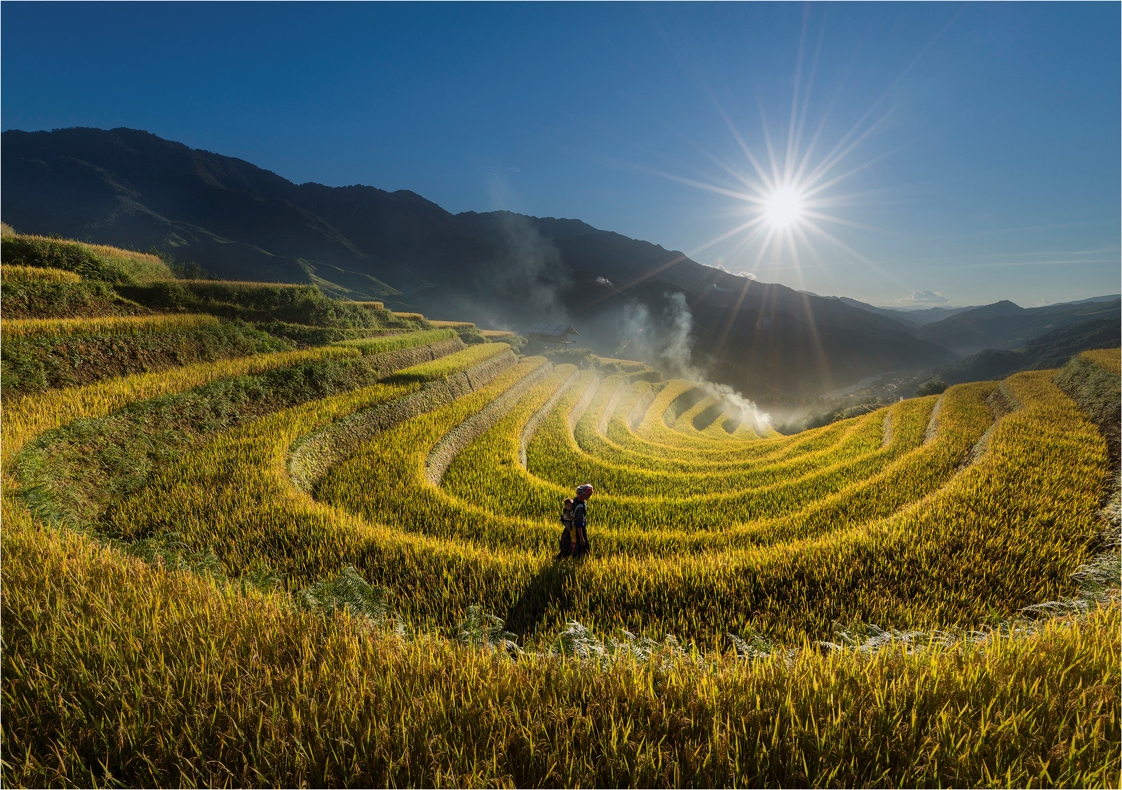 sac thu ruc ro trong mua vang mu cang chai