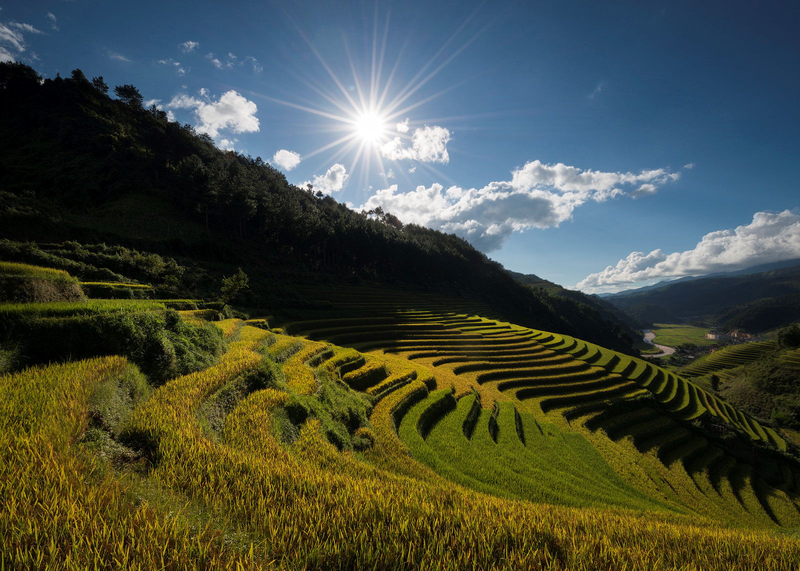 sac thu ruc ro trong mua vang mu cang chai