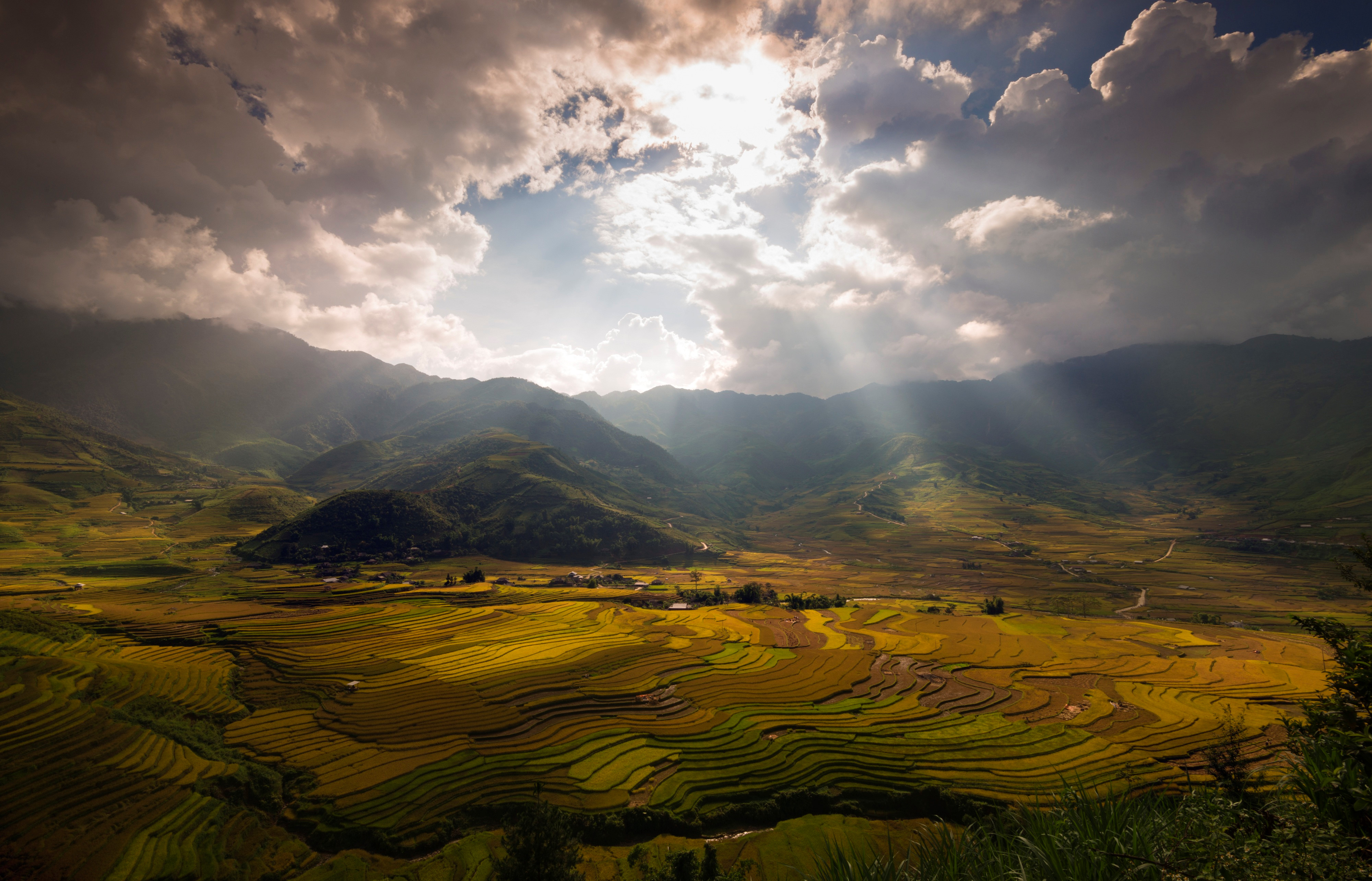 sac thu ruc ro trong mua vang mu cang chai