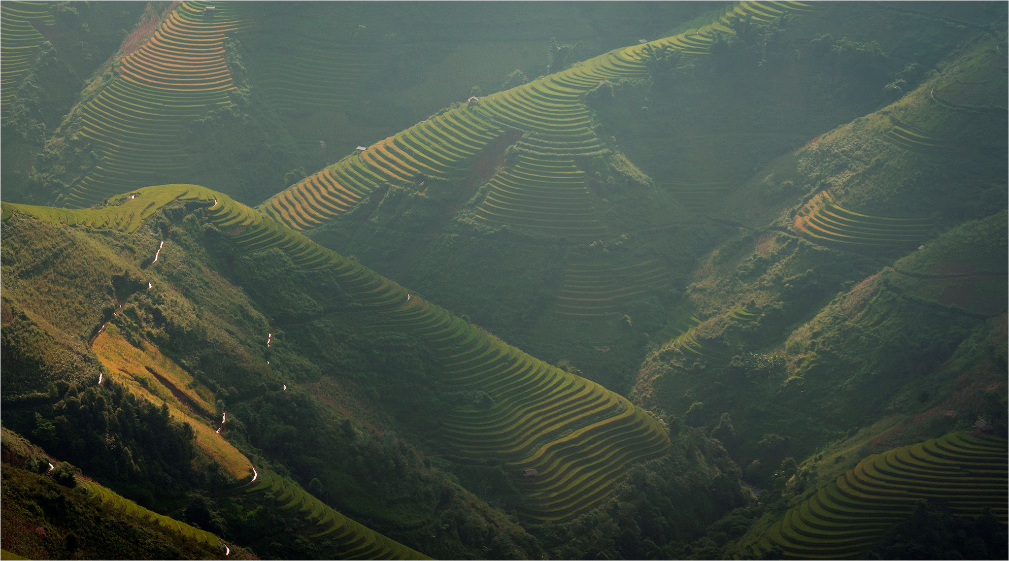 sac thu ruc ro trong mua vang mu cang chai
