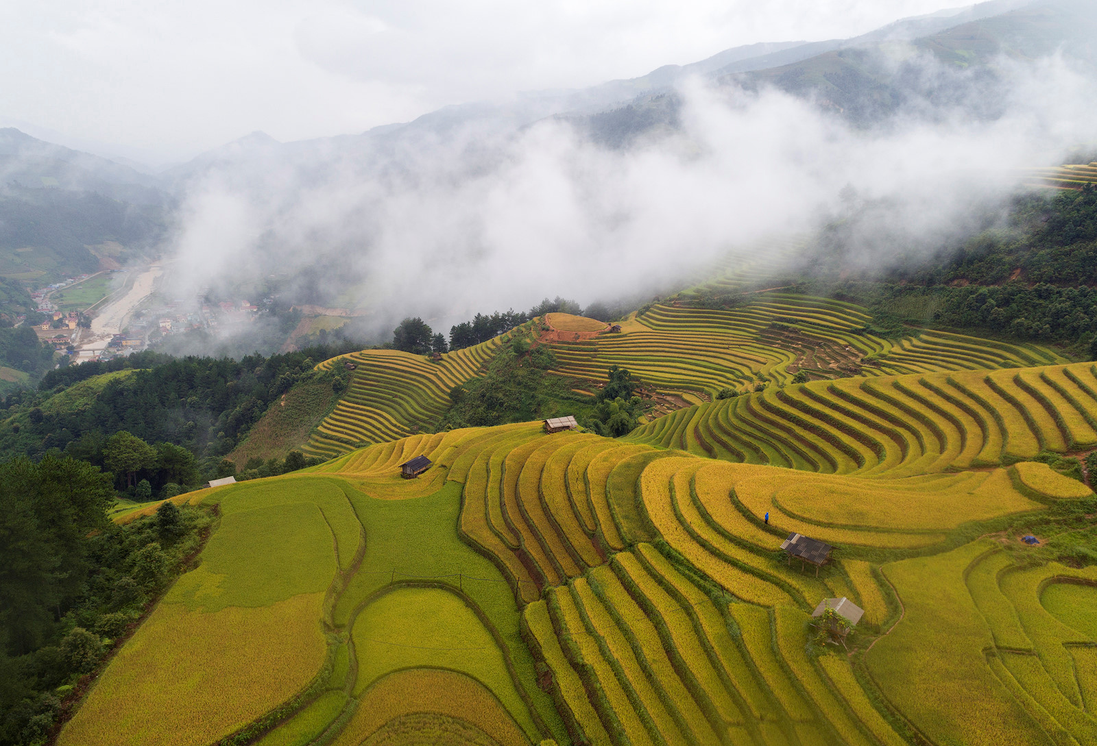 sac thu ruc ro trong mua vang mu cang chai