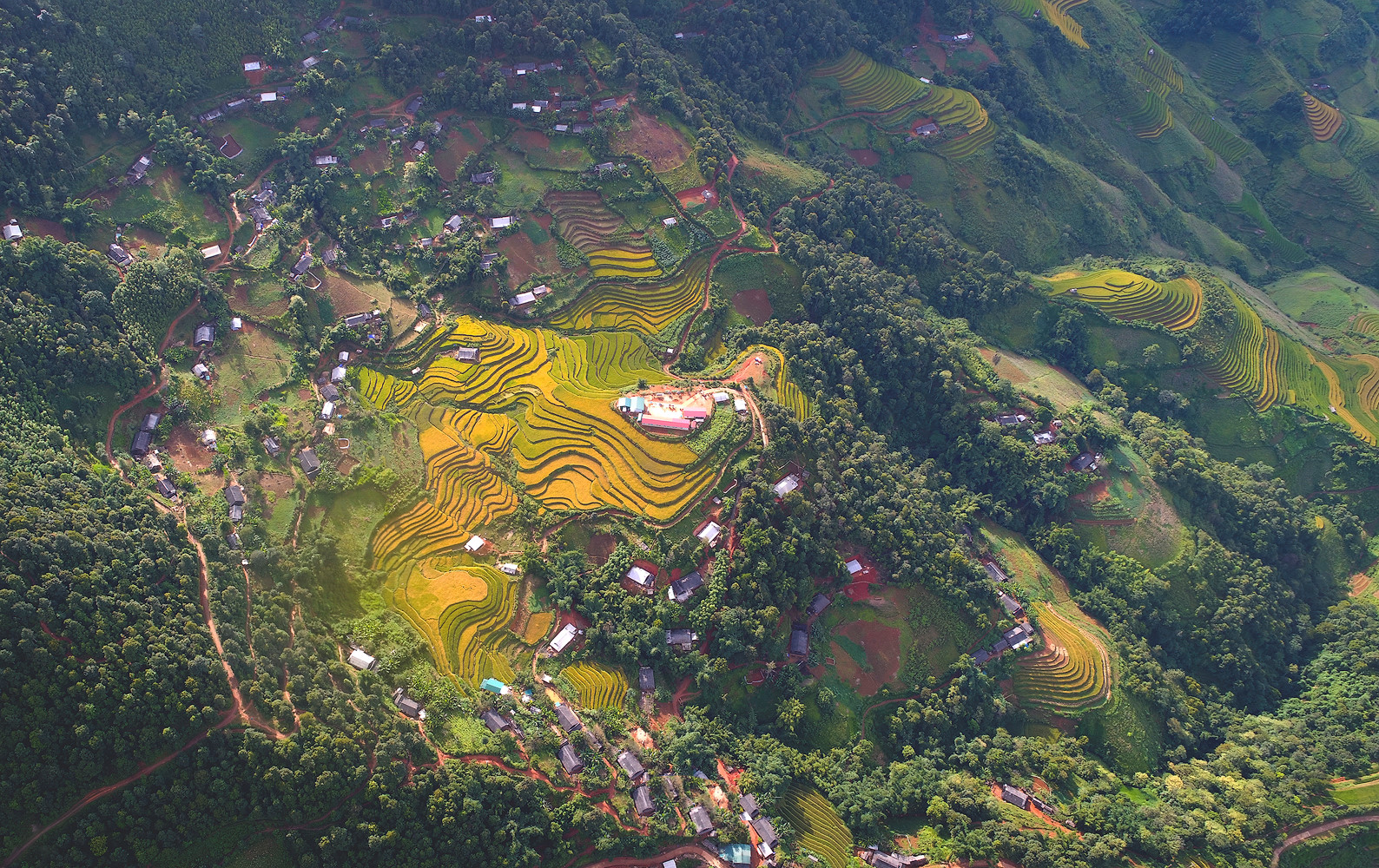 sac thu ruc ro trong mua vang mu cang chai