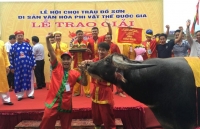 bien nguoi doi mua xem cac ong trau dau vat