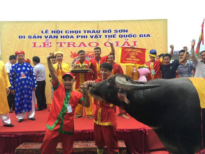 le hoi choi trau do son 2018 ong trau so 12 voi mieng danh hiem hoc da len ngoi vo dich