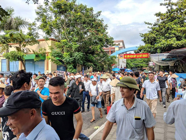 bien nguoi doi mua xem cac ong trau dau vat