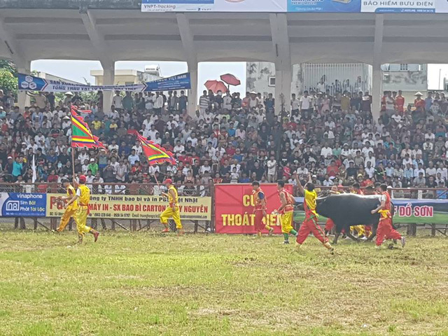 bien nguoi doi mua xem cac ong trau dau vat