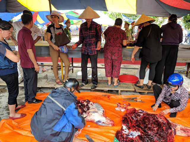 bien nguoi doi mua xem cac ong trau dau vat