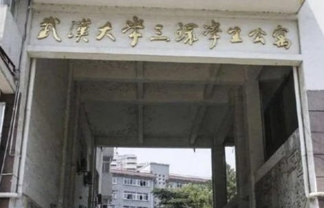canh sat hong kong bi truy lung rao riet vi doi mu nguoc