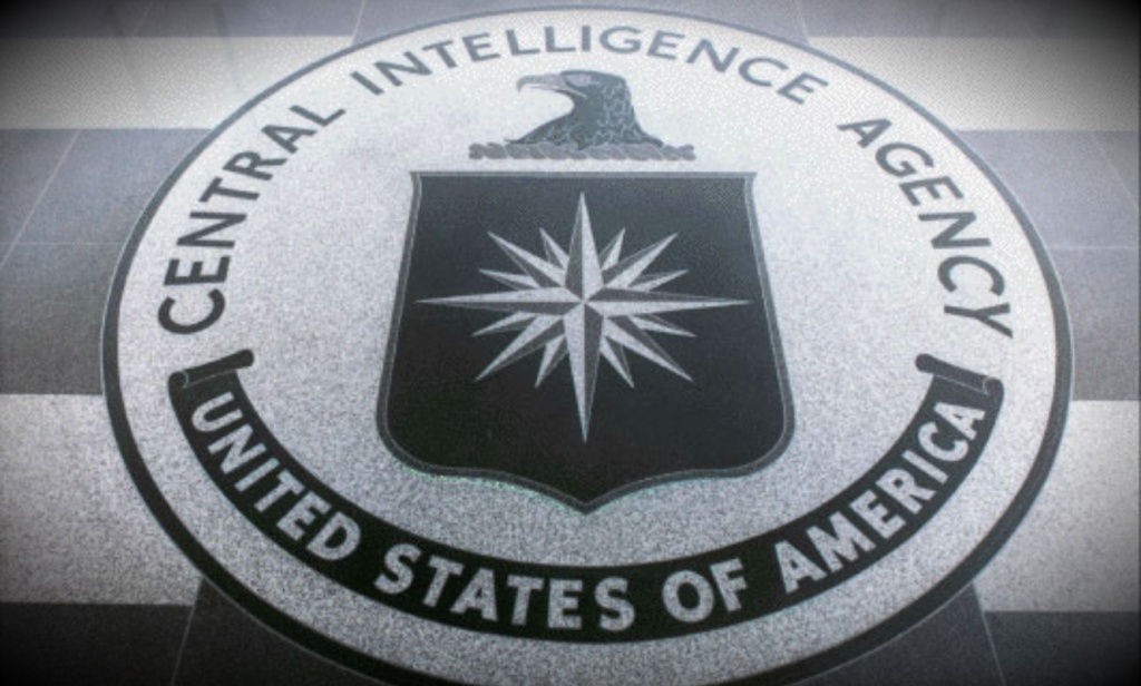 interpol va cia co nhung diem khac nhau co ban khien khong the nham lan