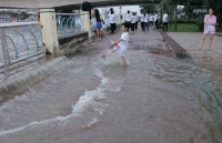 cuc thue tp hcm de nghi tuoc giay phep cong ty giam sat du an 10000 ti