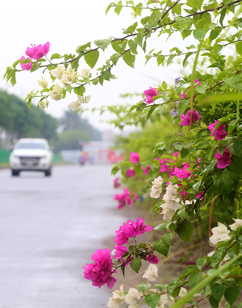 duong 10 lan xe noi hai tuyen vanh dai o thu do